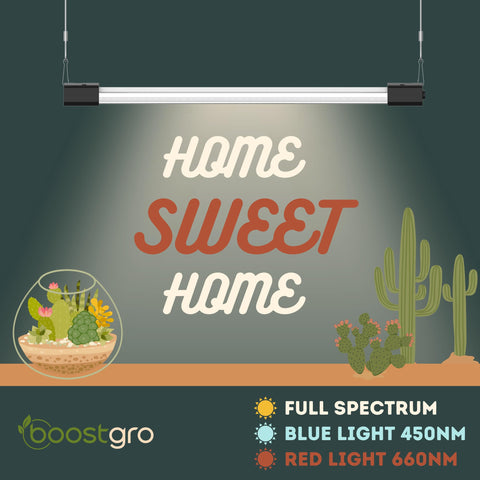 BoostGro 4ft fixture demonstrates daisy-chain capability for multiple units