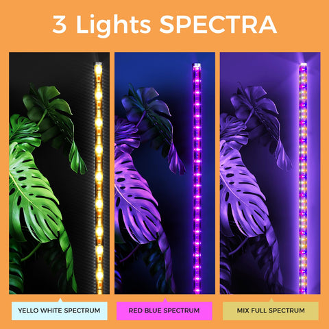 Boostool grow light height adjustable assembly shows scalable setup for tall plants