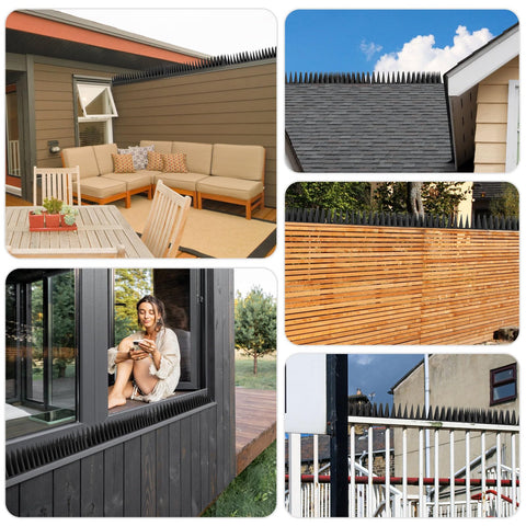 BORHOOD eaves spikes create a humane barrier against roof-nesting birds.