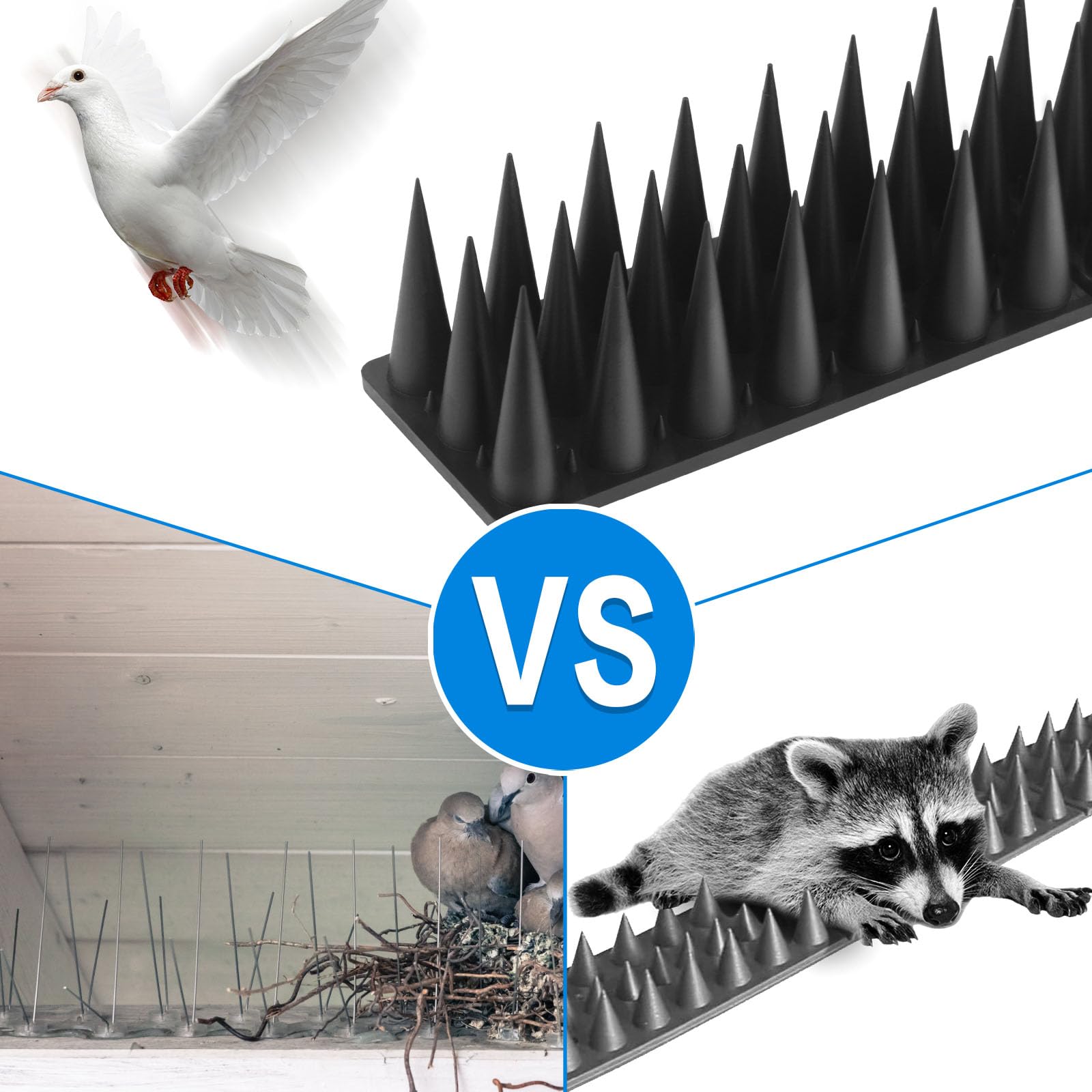 BORHOOD shed wall installation spikes deter birds along a narrow area.