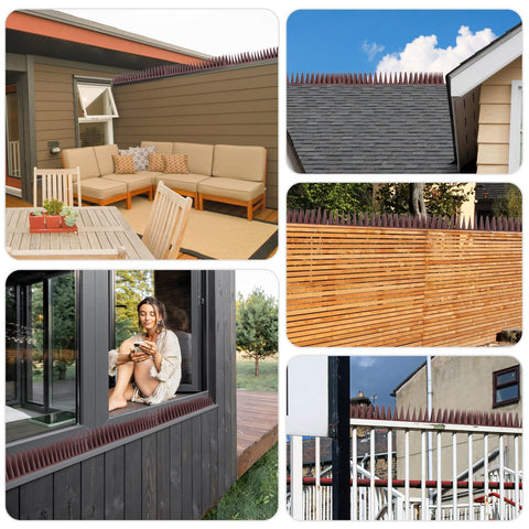 BORHOOD humane deterrent design keeps birds away without harm.