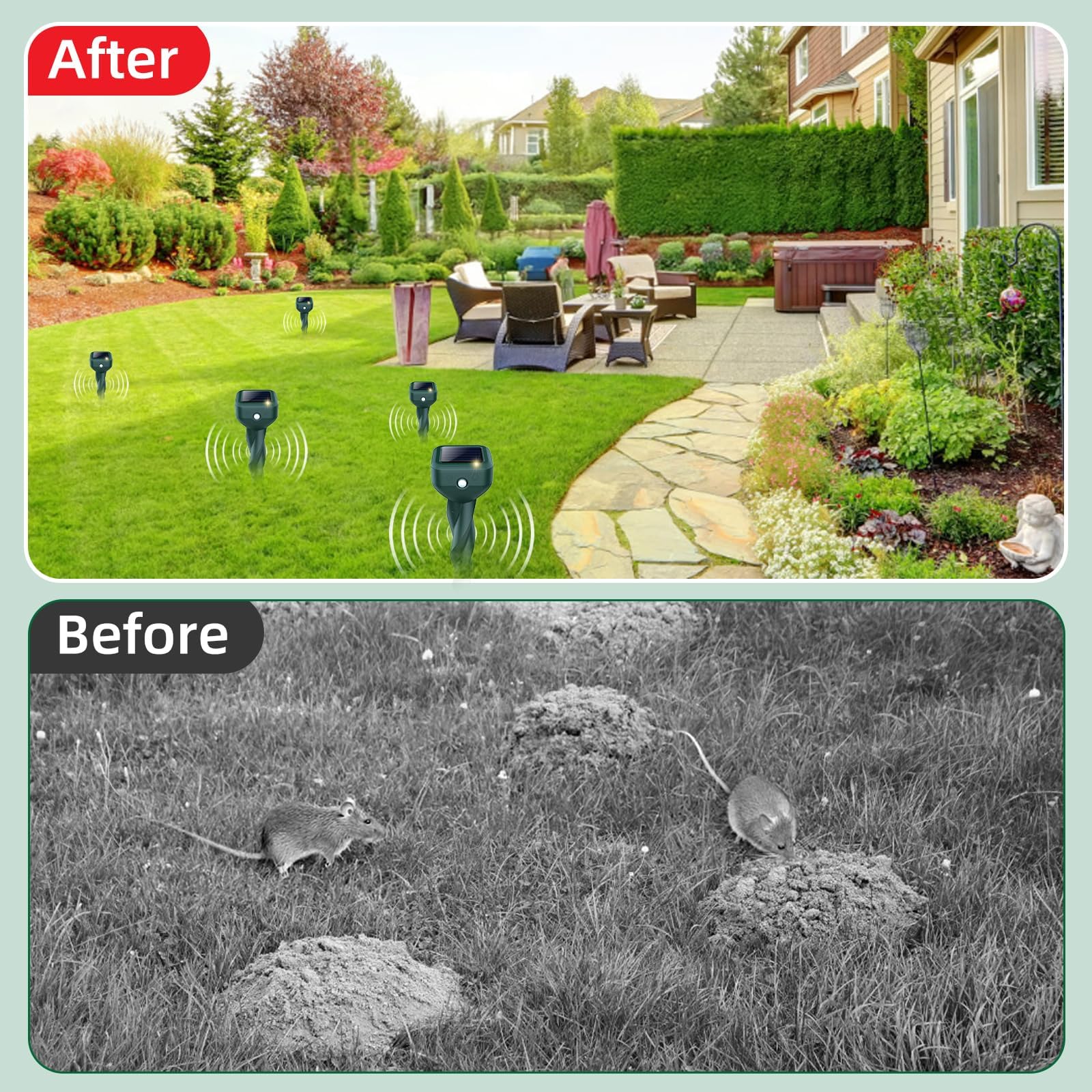 BORHOOD Solar-Powered Deterrent works with morning sunlight to deter animals