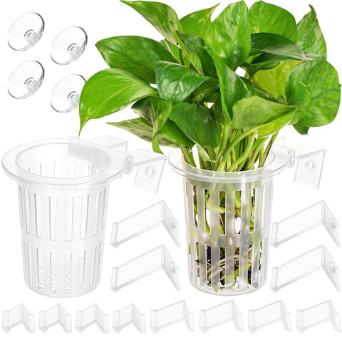 Borlech aquarium plant holder with extension hooks for stable plant placement.
