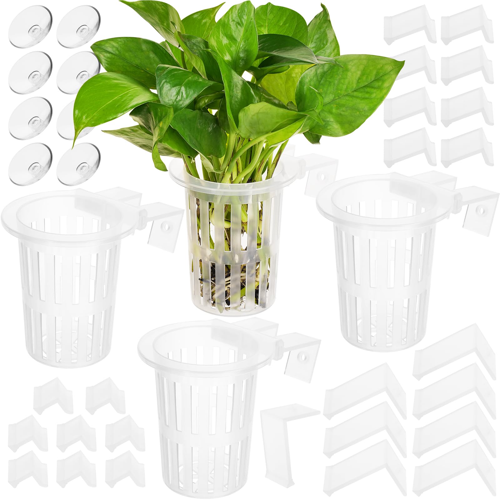 Borlech aquarium plant holder set in transparent design for versatile tank decoration and root protection.