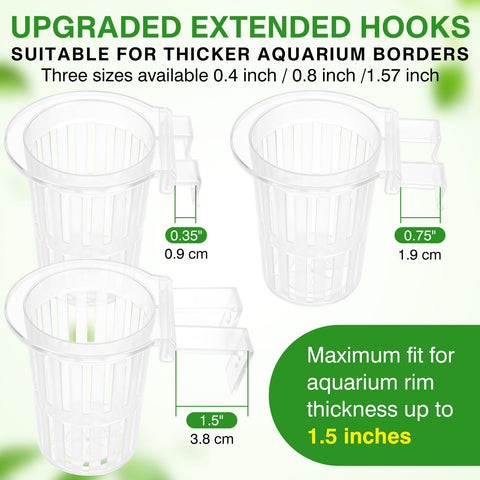 Borlech six-hook setup supports multiple plant sizes.