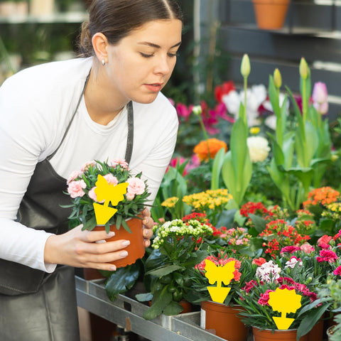 Boromine backyard garden application protecting plants from pests.