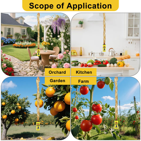 Boromine fly strips reduce fruit flies in kitchens and patios.