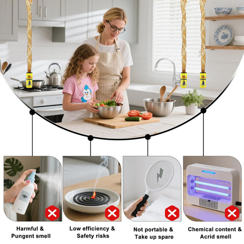 Boromine packaging image showing a ready-to-use fly strip set.
