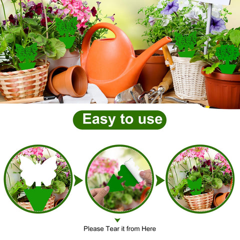Boromine fruit fly trap inserted into soil protecting indoor plants.