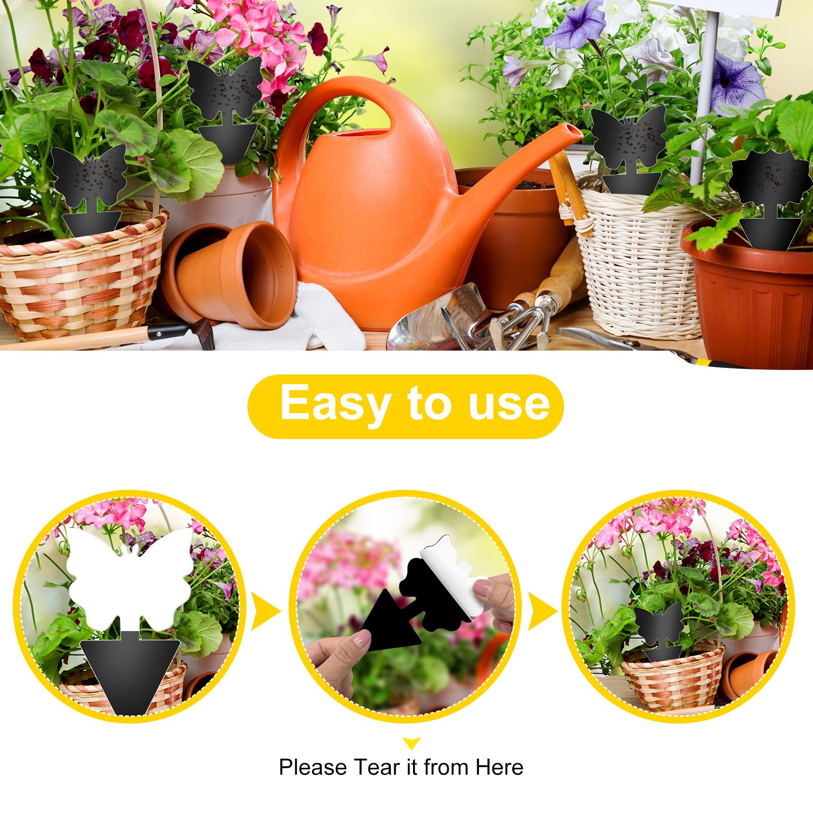 Boromine fungus gnat trap in soil demonstrates easy installation.