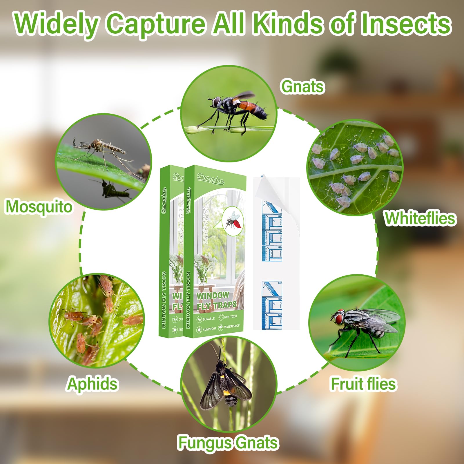 Boromine non-toxic fly paper keeps pets and kids safe while trapping insects