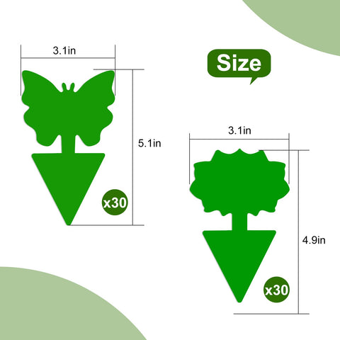 Boromine sticky traps in soil showing simple installation near pots for pest control