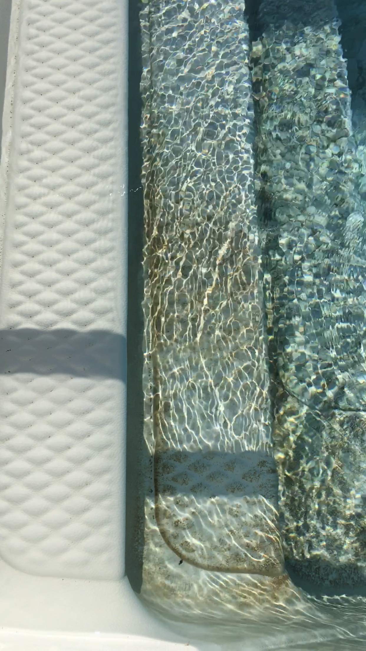 Bosh Chemical Vanish treatment showing stain removal on vinyl surface.