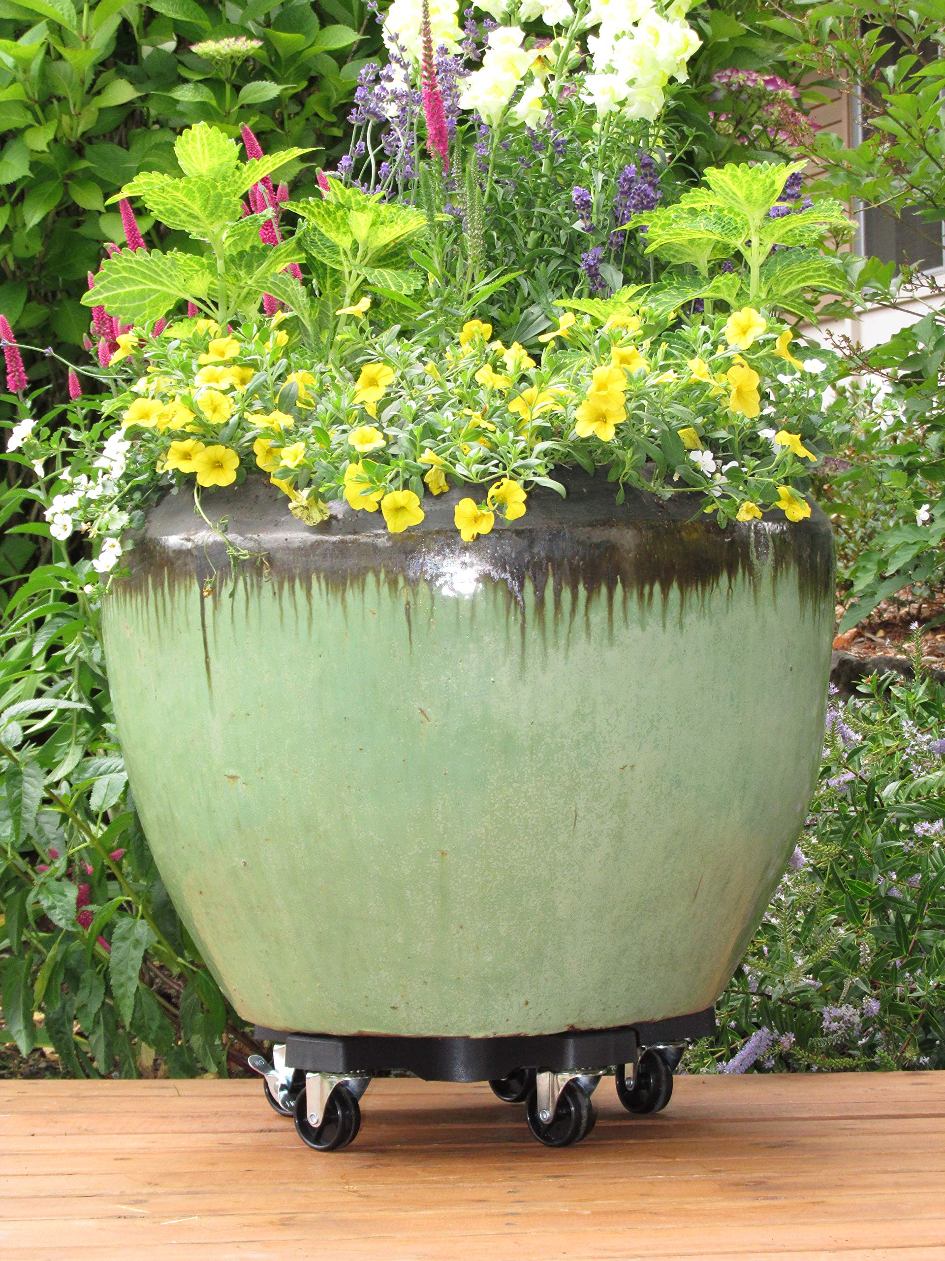 Bosmere Down Under Plant Caddie convenient on decks and patios