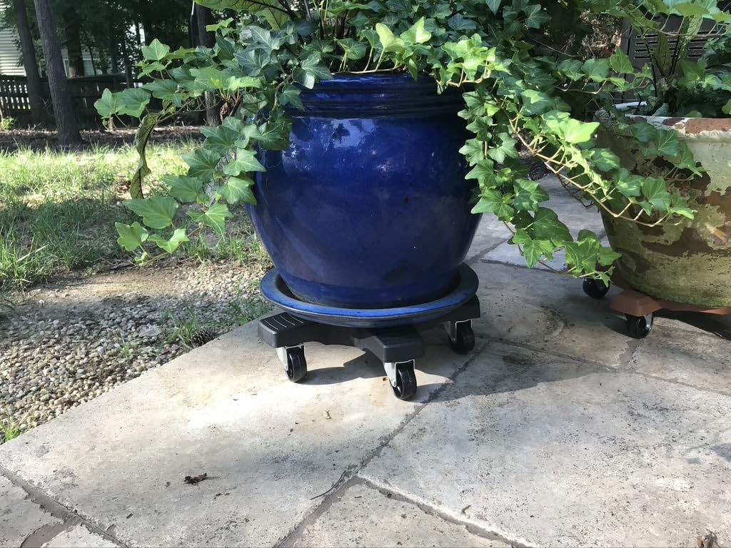Bosmere Down Under Plant Caddie enables easy repositioning of large pots with minimal effort.