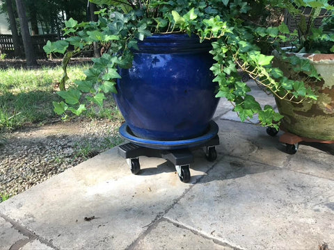Bosmere Down Under Plant Caddie enables easy repositioning of large pots with minimal effort.