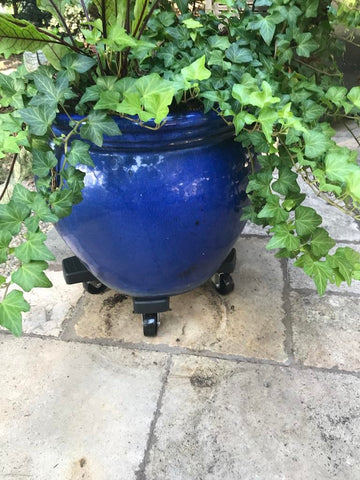 Bosmere Down Under Plant Caddie with locking caster for secure placement