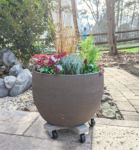 Bosmere Down Under Plant Caddie side view illustrating wide base for stability.