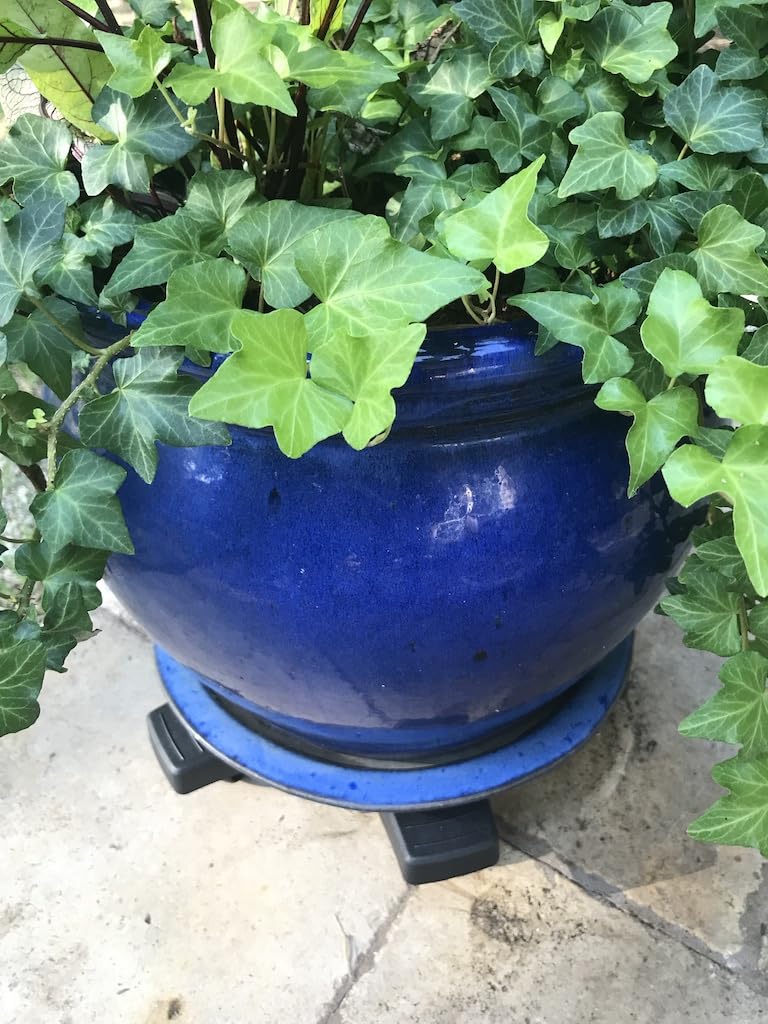 Fits various pot shapes and sizes with the Bosmere Down Under Plant Caddie