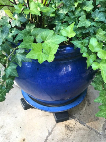 Fits various pot shapes and sizes with the Bosmere Down Under Plant Caddie