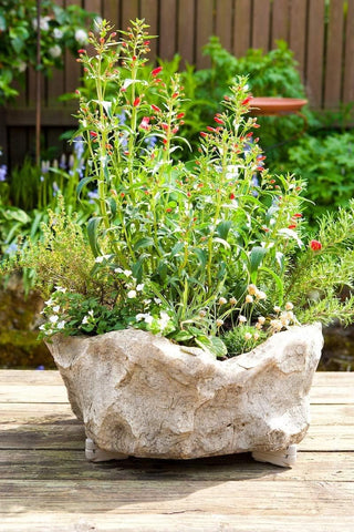 Bosmere Pot Toes promote drainage and healthier plants.