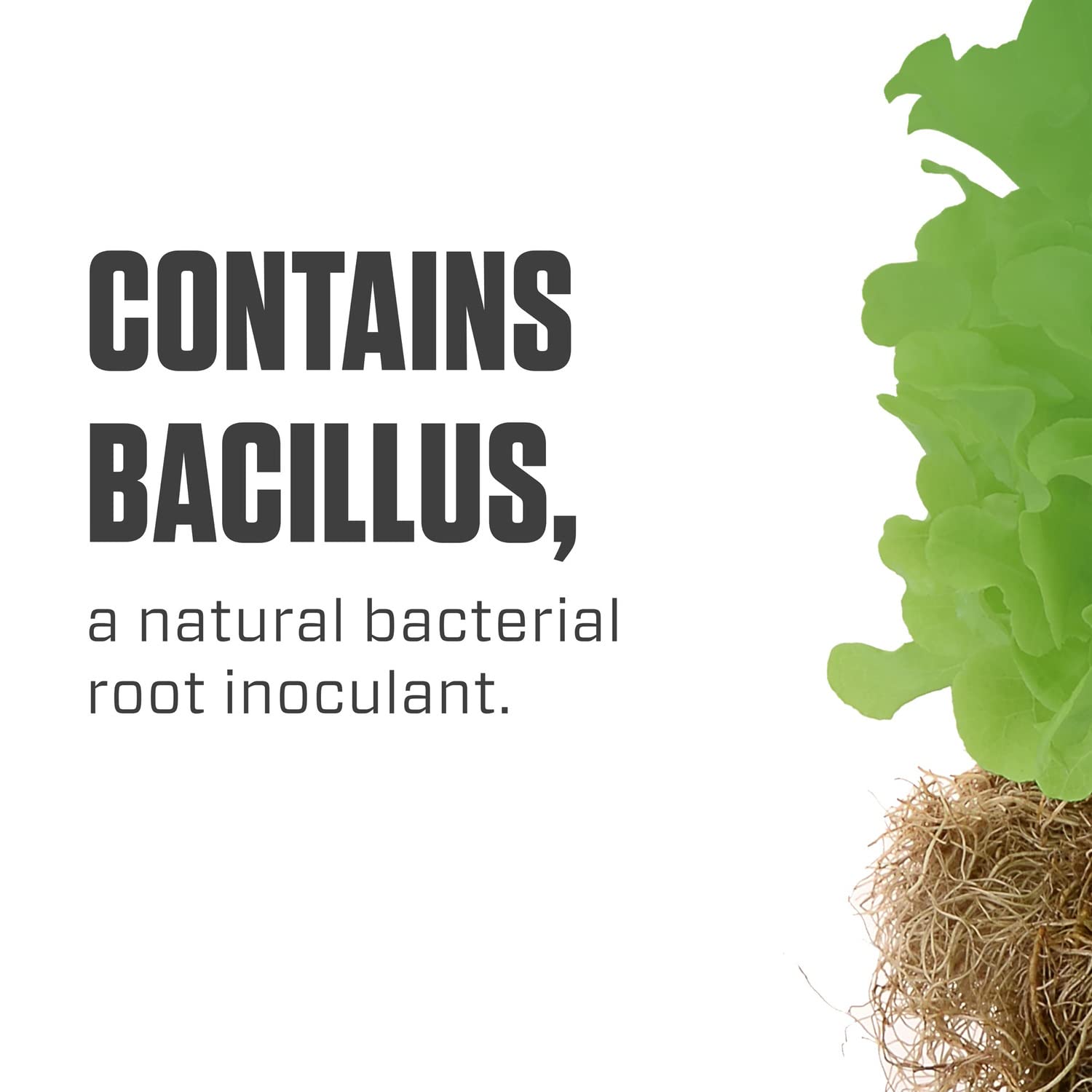 Botanicare Hydroguard jug ready to mix for stronger root mass in hydroponics