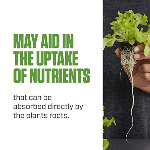Hydroguard bottle beside thriving seedlings, supporting routine root development