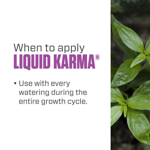 Botanicare Liquid Karma plants nourished for vibrant foliage.