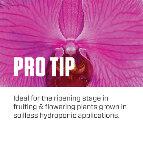 Vegetables and fruiting crops benefit from Botanicare Pure Blend Pro Bloom Soil bloom formula.