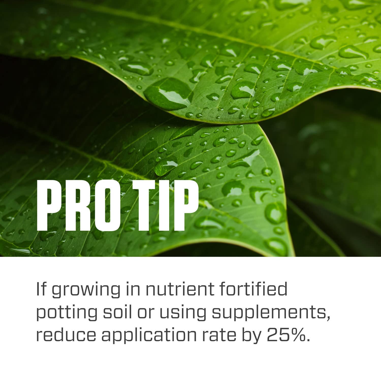 Botanicare Pure Blend Pro Grow container gardens provide balanced nourishment for potted plants.