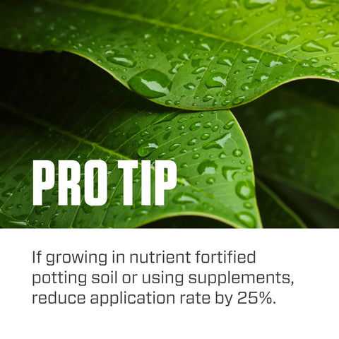 Botanicare Pure Blend Pro Grow container gardens provide balanced nourishment for potted plants.