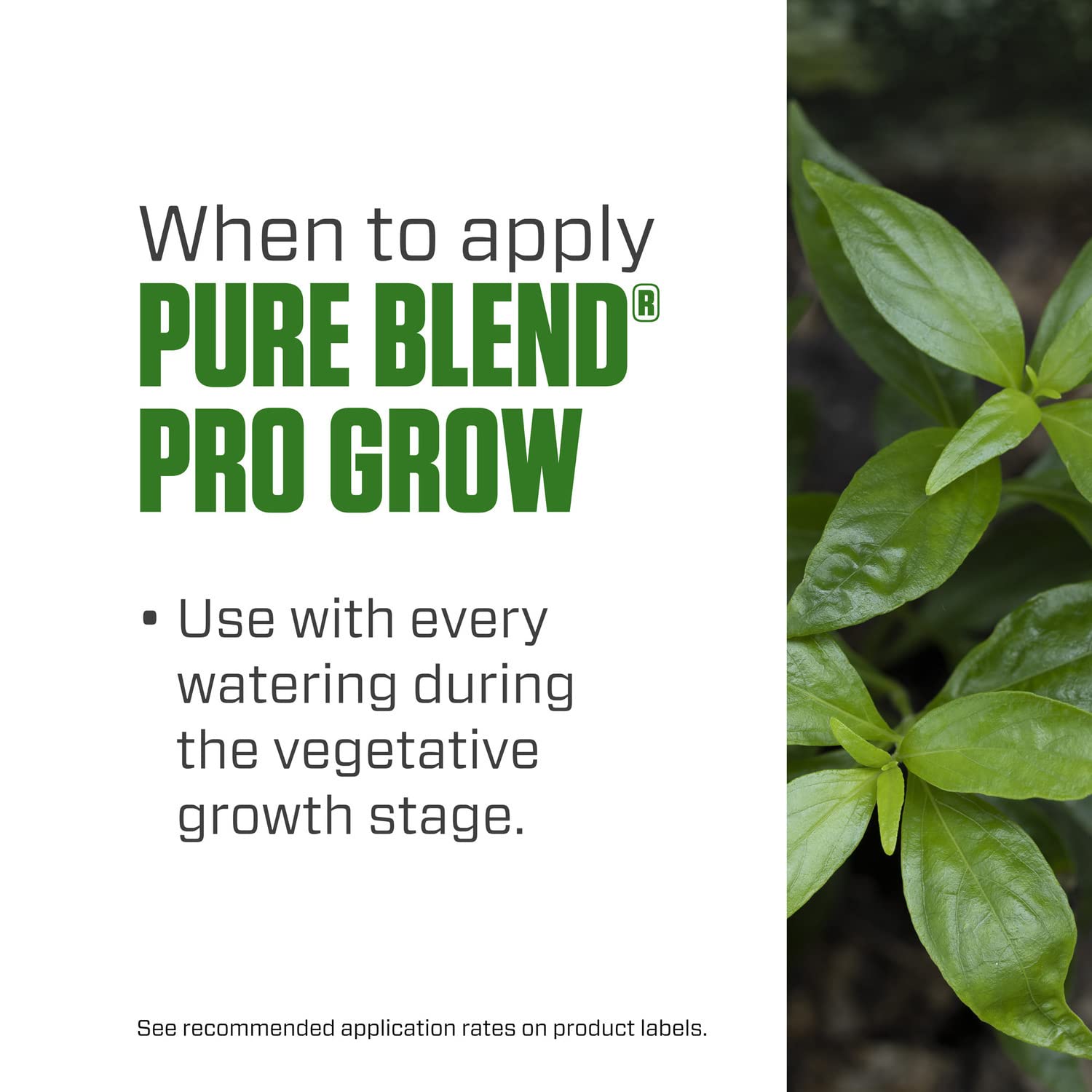 Botanicare Pure Blend Pro Grow in-soil application supports vibrant foliage and yields.