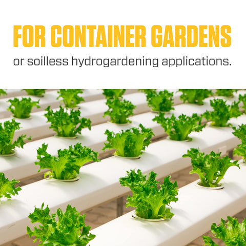 Container garden with thriving plants after using Silica Blast in the feeding routine.