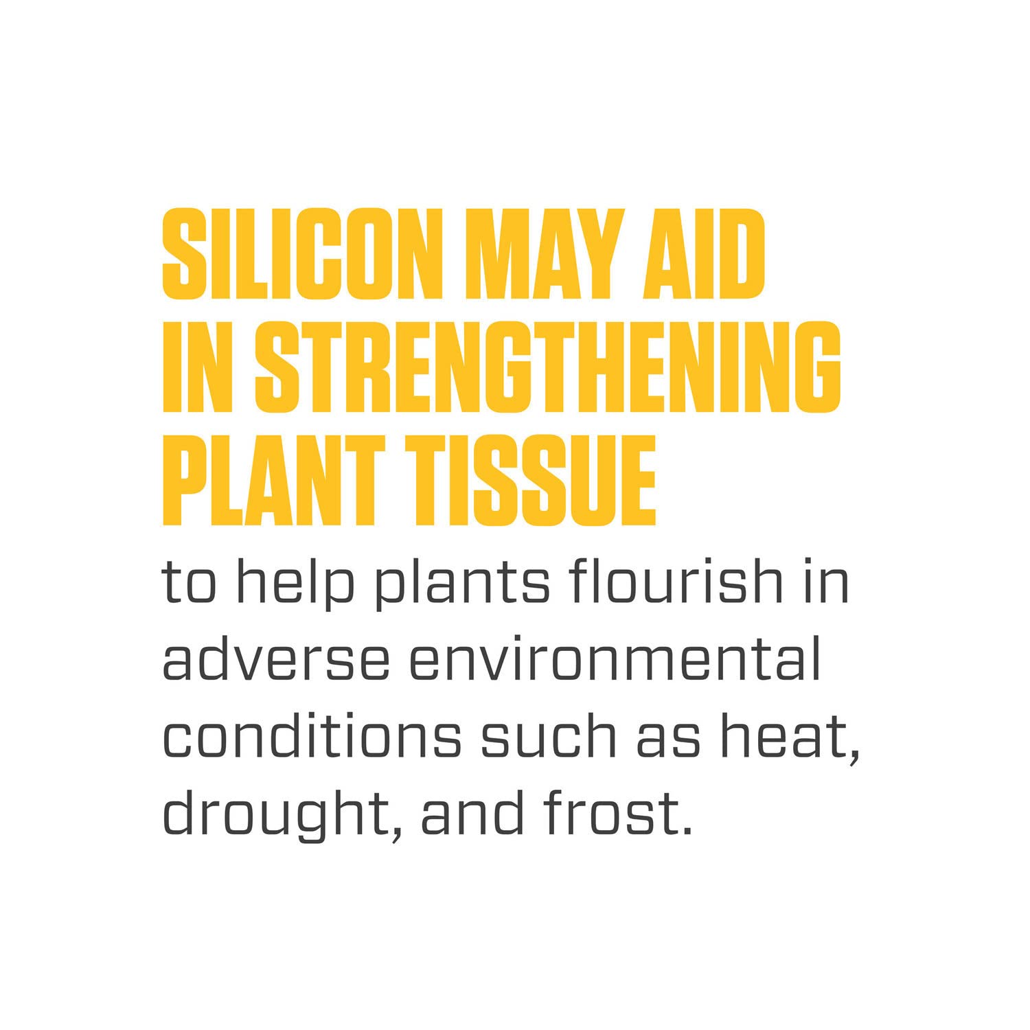Measuring cup alongside Silica Blast illustrating precise dosing for balanced nutrition.