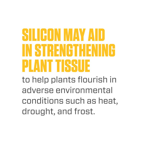 Measuring cup alongside Silica Blast illustrating precise dosing for balanced nutrition.