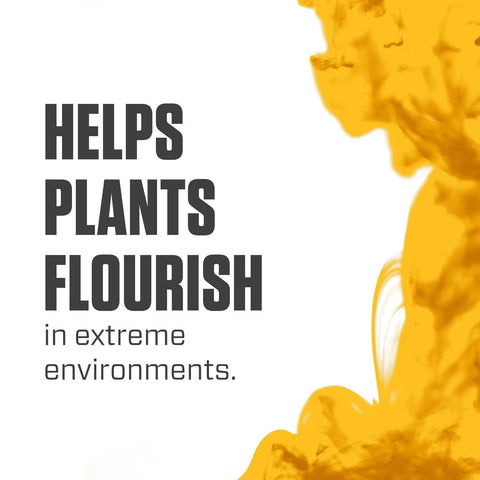 Botanicare Silica Blast supports vegetative growth with stronger stems
