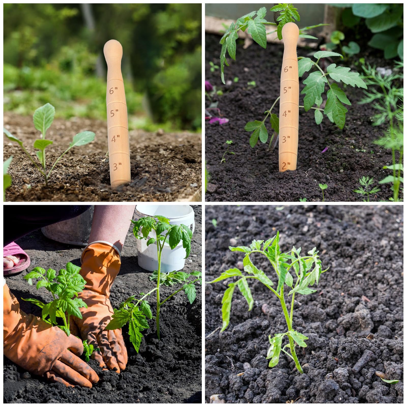 Bothyi seed dibber demonstrates easy hole digging for planting