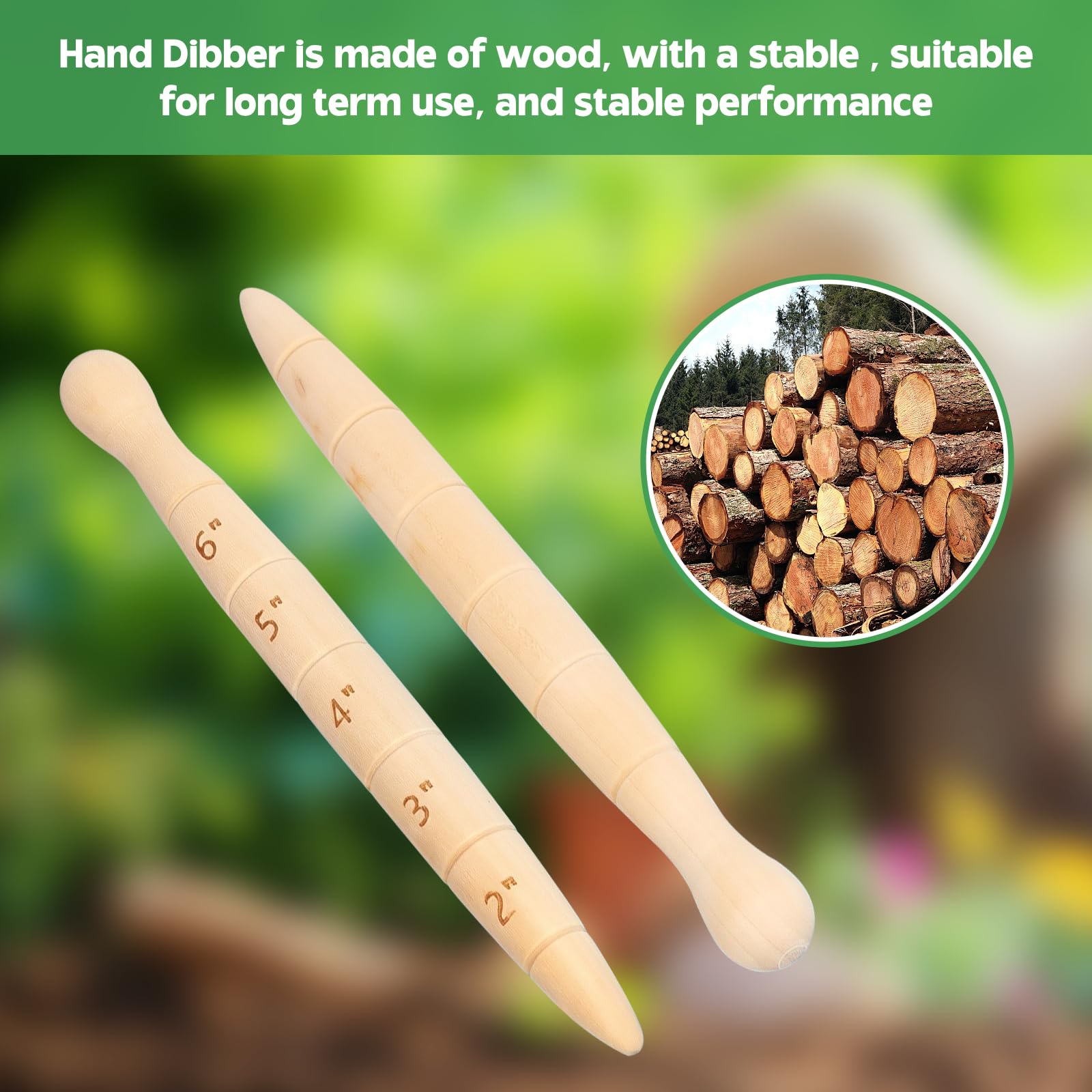 Bothyi wooden dibber premium finish for durable daily use