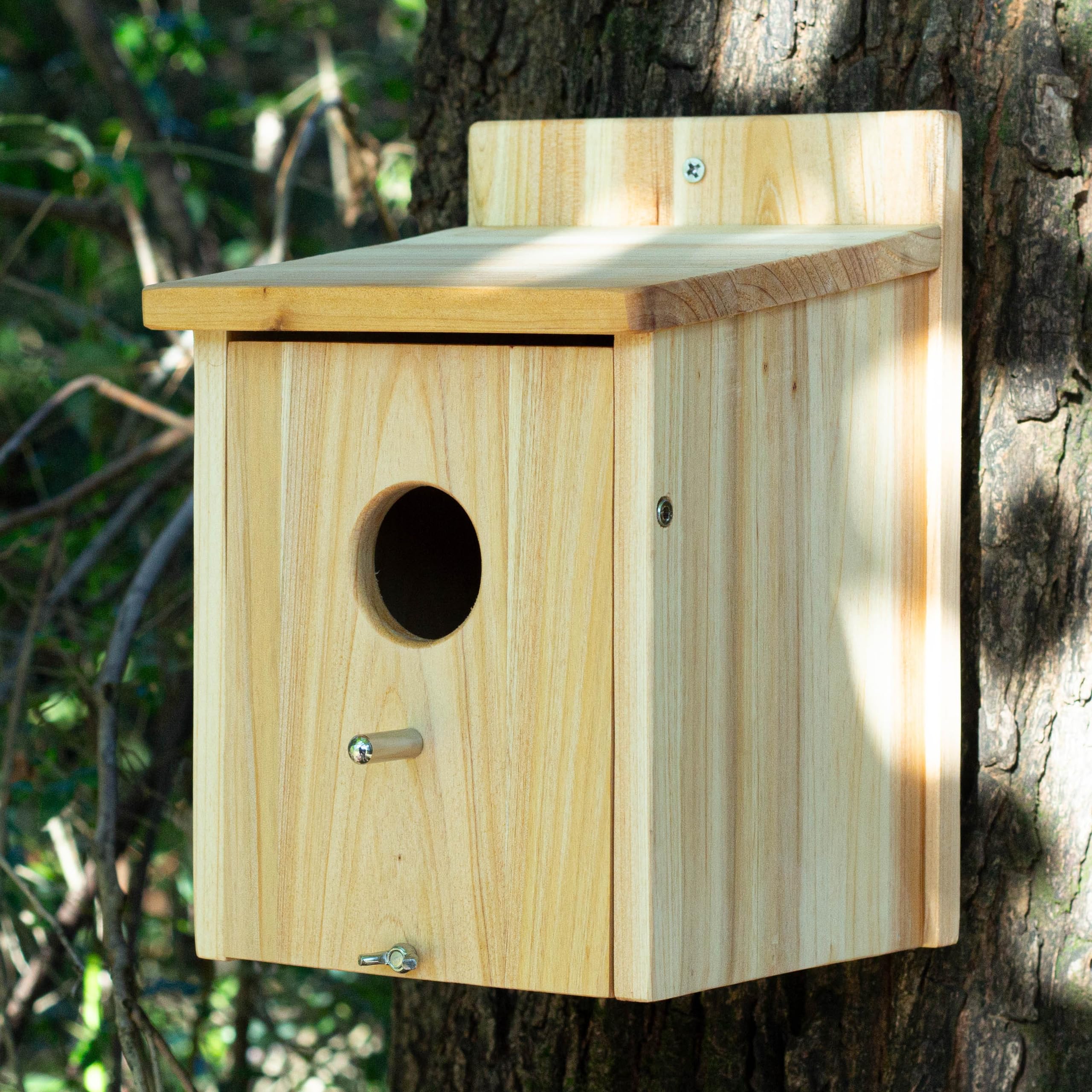 Entrance detail shows a 1.57 inch opening for small songbirds.