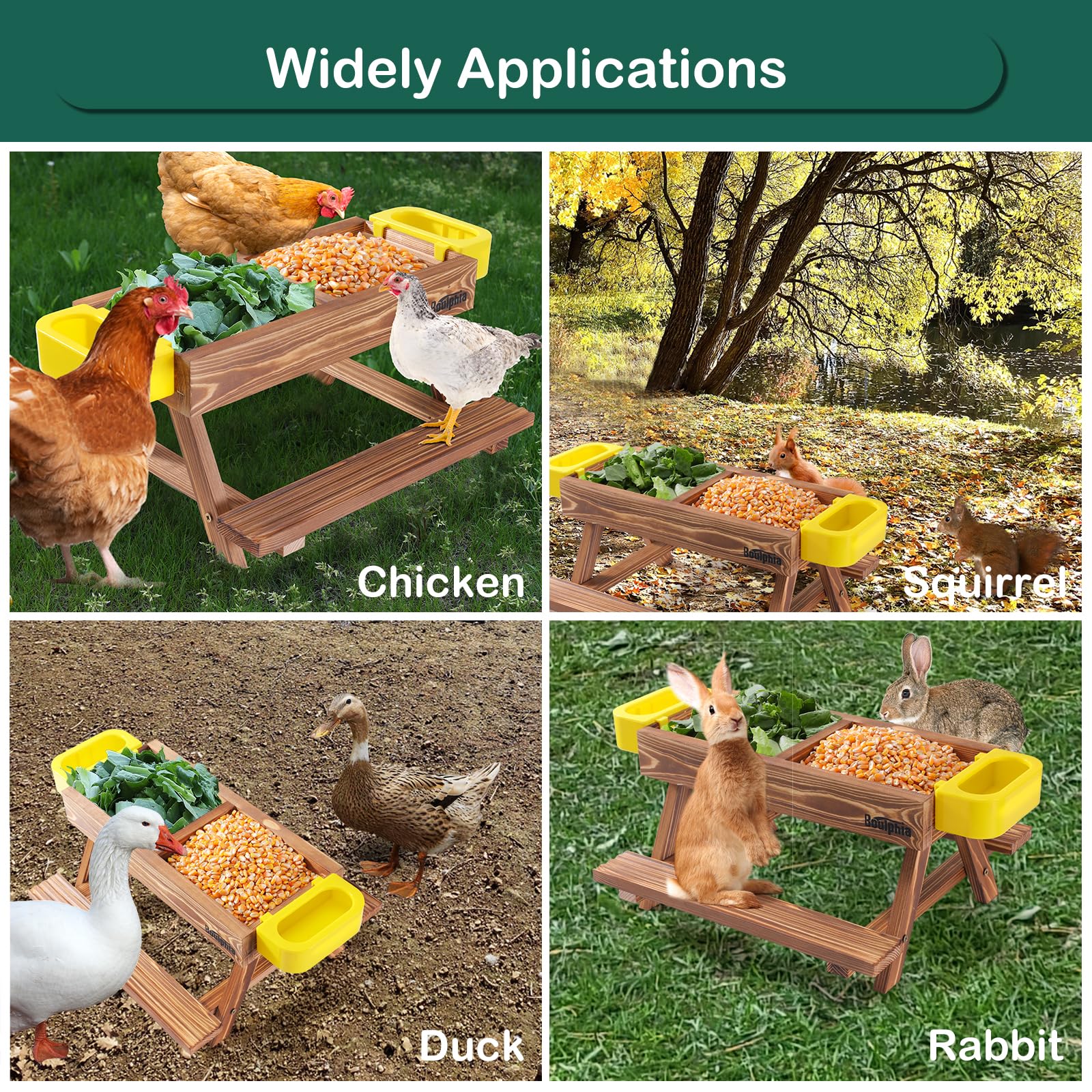 Boulphia gift-worthy coop accessory for happier, tidier poultry feeding.