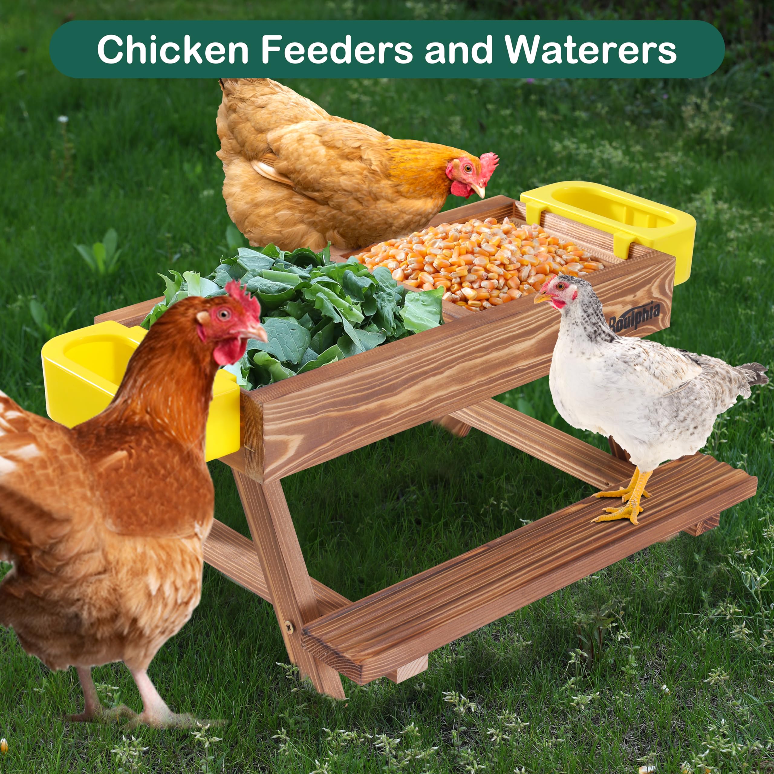 Boulphia upgraded mesh bottom keeps food dry and reduces waste.