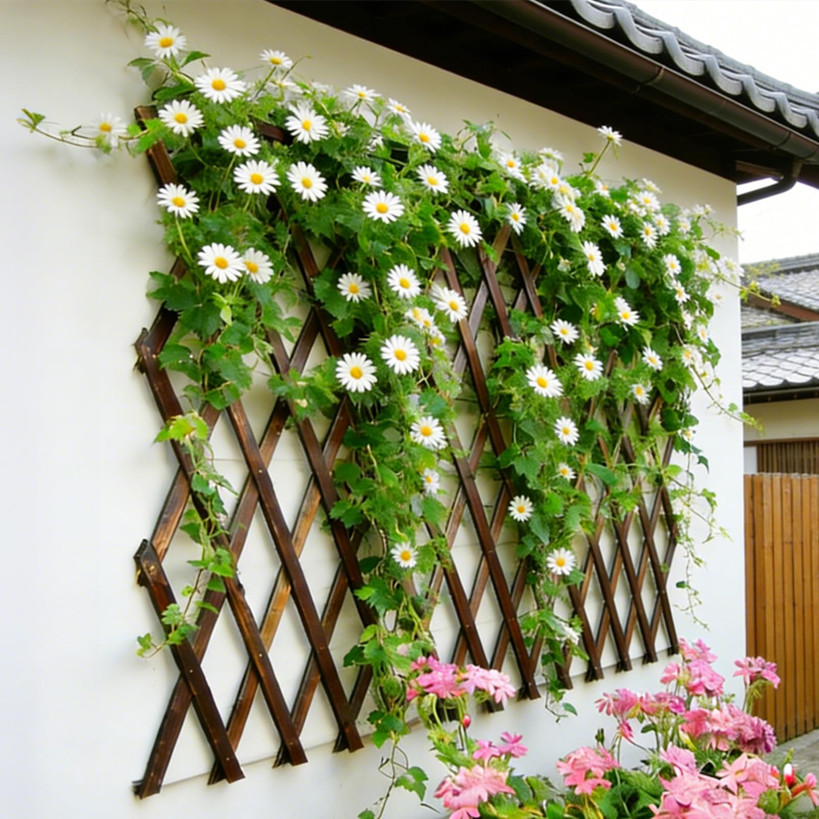 Bounmer expandable trellis supports climbing plants like clematis and roses