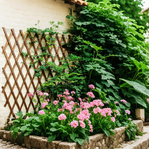 Bounmer expandable trellis made of natural cedar with visible grain