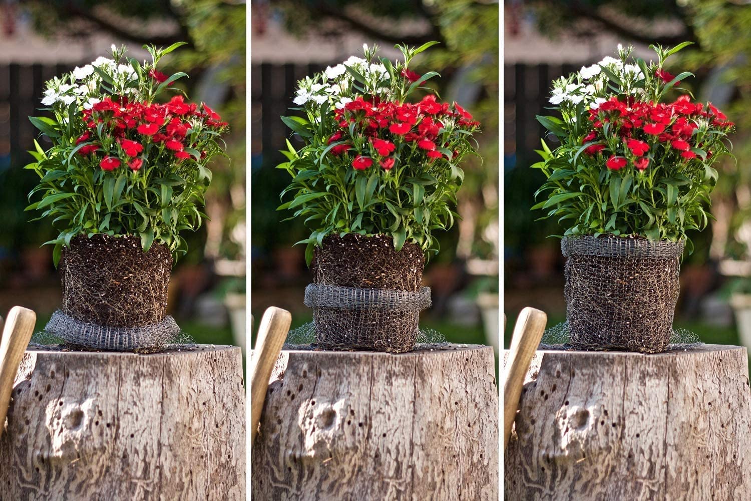 boUod Year-round solution offers lasting garden protection and peace of mind.