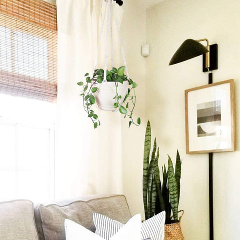 Bouqlife 2-pack macrame hangers provide stylish grip and stable support.