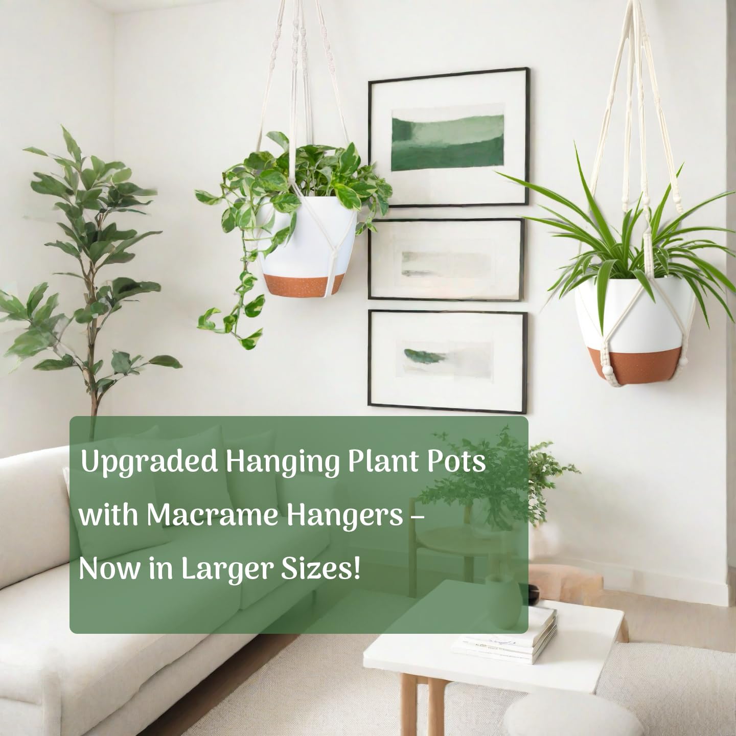 Bouqlife cotton rope hanger with boho style for elevated indoor greenery.