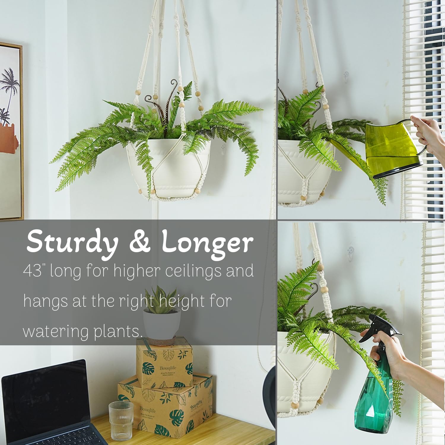 Bouqlife heavy-duty swag hooks ensure secure pots and simple installation.