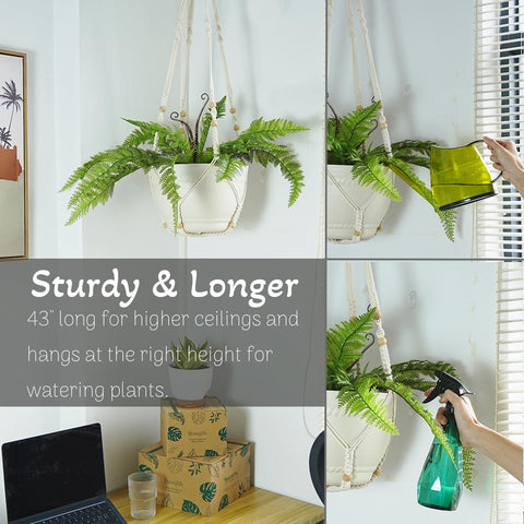 Bouqlife heavy-duty swag hooks ensure secure pots and simple installation.