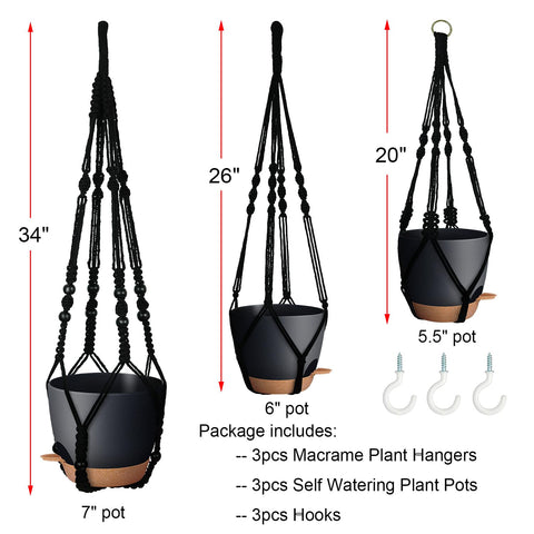 Bouqlife 6in self-watering pot ideal for succulents