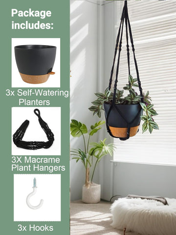 Bouqlife 7in self-watering pot ideal for herbs